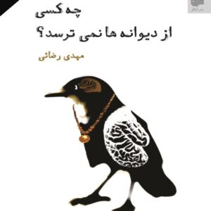 چه کسی از دیوانه ها نمیترسد مهدی